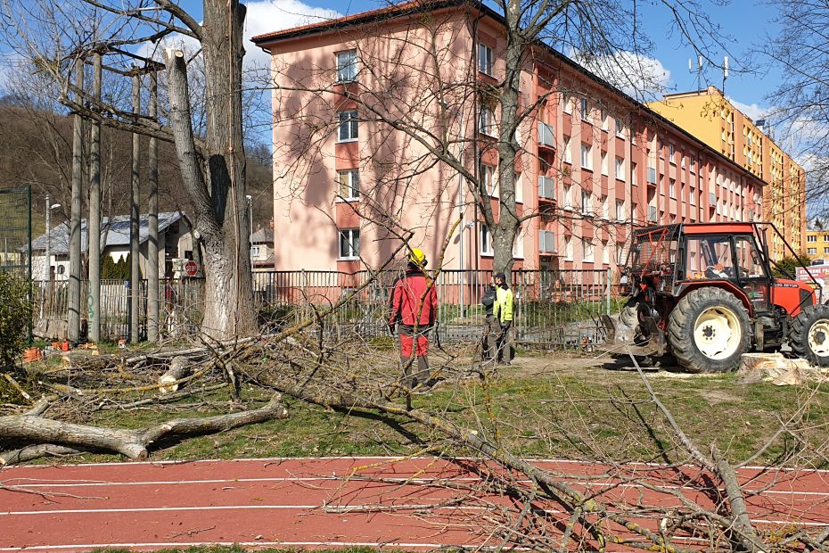 Výrub starých topoľov pri ihrisku - CEDERS s.r.o.