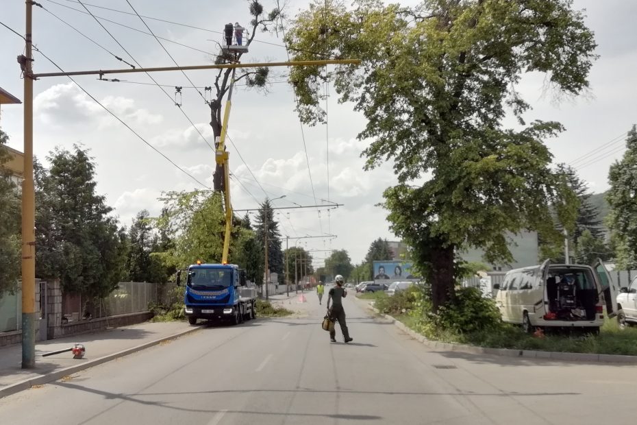 Nebezpečný výrub stromu nad elektrickým vedením na Budovateľskej ulici v Prešove - CEDERS s.r.o.